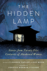 The Hiddn Lamp book cover